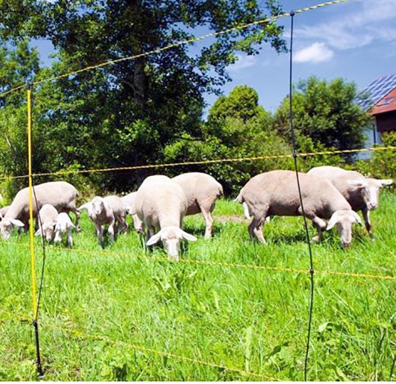 Pulwell fiberglass step-in posts for sheep fence